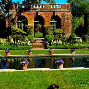 Meet your Posher, Misha